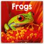 Avonside Publishing Ltd: Frogs - Frösche 2025 - 16-Monatskalender, KAL