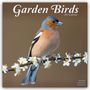 Avonside Publishing Ltd: Garden Birds - Gartenvögel 2025 - 16-Monatskalender, KAL