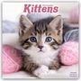 Avonside Publishing Ltd: Kittens - Kätzchen 2025 - 16-Monatskalender, KAL