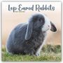 Avonside Publishing Ltd: Lop-eared Rabbits - Widderkaninchen 2025 - 16-Monatskalender, KAL