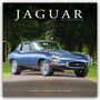 Avonside Publishing Ltd: Jaguar 2025 - 16-Monatskalender, KAL