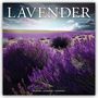 Avonside Publishing: Lavender - Lavendel 2025 - 16-Monatskalender, KAL