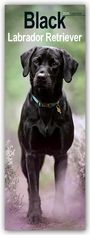 Avonside Publisher Ltd: Black Labrador Retriever - Schwarze Labrador Retriever 2025, KAL