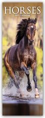 Avonside Publishing Ltd: Horses - Pferde 2025, KAL