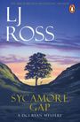 Lj Ross: Sycamore Gap, Buch