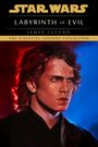 "Star Wars Labyrinth of Evil" von James Luceno. Illustration eines Mannes mit entschlossenem Blick, rot-blauer Hintergrund.