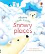 Anna Milbourne: Peek Inside Snowy Places, Buch