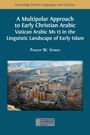 Text: "A Multipolar Approach to Early Christian Arabic: Vatican Arabic Ms 13 in the Linguistic Landscape of Early Islam" von Phillip W. Stokes. Oben ein Foto einer Wüstenlandschaft mit alten Gebäuden. Unten Logo der University of Cambridge.