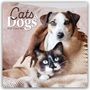 "Cats & Dogs 2027 Calendar" steht oben. Ein Hund und eine Katze sind in eine gestreifte Decke gewickelt.