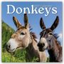 Text: "2027 Calendar Donkeys". Zwei Esel stehen auf einer Wiese vor einem blauen Himmel.