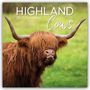 Texte: "HIGH-LAND 2027 Calendar Cows". Ein Highland-Rind mit langen Hörnern und zotteligem, rotbraunem Fell.