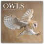 "OWLS 2027 Calendar" steht oben. Eine Eule fliegt mit ausgebreiteten Flügeln auf beigem Hintergrund.