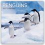 Text: "PENGUINS 2027 Calendar." Vier Pinguine stehen auf einer Schneelandschaft vor einem blauen Hintergrund.