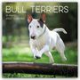„BULL TERRIERS“, „16-Month 2027 Calendar“. Ein Bullterrier springt über ein Hindernis im Grünen.