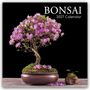 Text: "BONSAI 2027 Calendar". Ein blühender Bonsai-Baum mit rosa Blüten in einem dekorativen Topf.