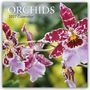 „ORCHIDS 2027 Calendar“ steht oben auf dem Bild. Darunter sind rosa-weiße Orchideen mit gelbem Zentrum abgebildet.