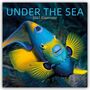 Text: "UNDER THE SEA 2027 Calendar". Ein leuchtend bunter Fisch mit blauen und gelben Farben in einem Unterwasserhintergrund.