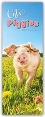 „Cute Piggies 2027 Calendar“. Ein lächelndes Ferkel steht auf einer Wiese voller grüner Gräser und gelber Blumen.