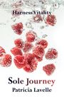 Patricia Lavelle: Sole Journey, Buch