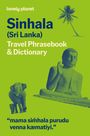 Text über "Sinhala (Sri Lanka) Travel Phrasebook & Dictionary". Ein Buddha, ein Elefant und eine Palme auf grünem Hintergrund.