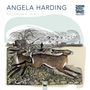 "ANGELA HARDING CALENDAR 2027" Illustration mit springendem Hasen, Vögeln, Person am Ufer und Baum.