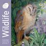 Tree Flame: Bex Parkin, Wildlife - Kunstkalender 2027 - Original Flame Tree Publishing-Kalender [Kalender], KAL