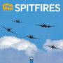 Tree Flame: IWM - Spitfires - Spitfire - Britisches Jagdflugzeug 2027 - Original Flame Tree Publishing-Kalender [Kalender], KAL