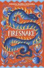 "FIRESNAKE" steht in der Mitte in Weiß. Eine blau-gelbe Schlange windet sich um eine Person, umgeben von kosmischen Motiven.