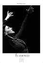 H. W. Schawe: Flamenco schwarz-weiss 2025, KAL