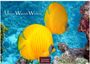 Text: "Unter Wasser Welten", "2027", "Casares Edition". Zwei gelbe Fische schwimmen vor Korallen in klarem Wasser.