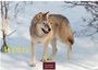 Text: "WÖLFE", "2027", "CASARES EDITION". Ein Wolf läuft im Schnee, umgeben von kahlen Zweigen.