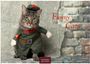 Text: "Funny Cats 2027", "CASARES EDITION". Eine Katze in einem grünen Soldatenkostüm vor einer Ziegelmauer.