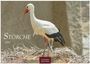 Text: "STÖRCHE 2027, CASARES EDITION." Ein Storch steht auf einem Nest aus Zweigen.