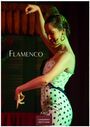 Text: "Flamenco", "2027", "Casares Edition". Eine Tänzerin in einem gepunkteten Flamenco-Kleid mit konzentriertem Ausdruck.