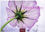 "Flower Fantasy", "2024", "CASARES EDITION". Nahaufnahme einer lila Blume von unten gegen einen hellen Hintergrund.