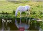 Text: "PFERDE", "2027", "CASARES EDITION". Ein weißes Pferd trinkt an einem Teich, umgeben von grünem Gras.