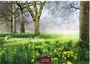 „Gartenparadiese“ in großer Schrift. Darunter „2024 CASAES EDITION“. Frühling mit Bäumen und gelben Narzissen.