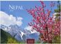 Oben links steht „Nepal 2027“. Ein blühender Baum vor schneebedeckten Bergen und blauem Himmel.
