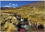 Text: "CHILE", "2027", "CASARES EDITION". Schneebedeckter Berg, Wiese, Bach mit Eiszapfen, blauer Himmel.