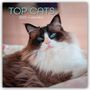 Gifted Stationery Co. Ltd: Top Cats - Top-Katzen 2025 - 16-Monatskalender, KAL
