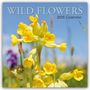 Gifted Stationery Co. Ltd: Wild Flowers - Wildblumen 2025 - 16-Monatskalender, KAL