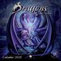 Tree Flame: Dragons by Anne Stokes - Drachen von Anne Stokes 2026 - Original Flame Tree Publishing-Kalender [Kalender], KAL