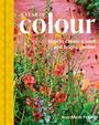 Ann-Marie Powell: Year of Colour, A, Buch
