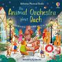 Sam Taplin: Animal Orchestra Plays Bach, Buch