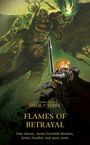 James Swallow: Flames of Betrayal, Buch