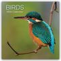 Gifted Stationery Co. Ltd: Birds - Vögel 2026 - 16-Monatskalender, KAL