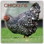 Gifted Stationery Co. Ltd: Chickens - Hühner 2026 - 16-Monatskalender, KAL