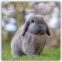 Gifted Stationery Co. Ltd: Cute Bunnies - Niedliche Kaninchen 2026 - 16-Monatskalender, KAL