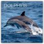 The Gifted: Dolphins - Delfine - Delphine 2026 - 16-Monatskalender, KAL
