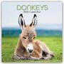 Gifted Stationery Co. Ltd: Donkeys - Esel 2026 - 16-Monatskalender, KAL